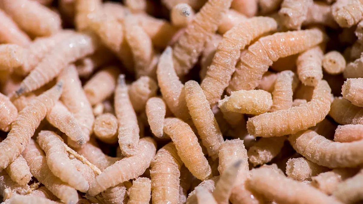 28 Times Doctors And Nurses Encountered Something Truly Revolting