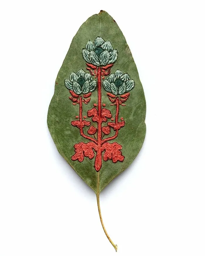 Stitched Botanicals