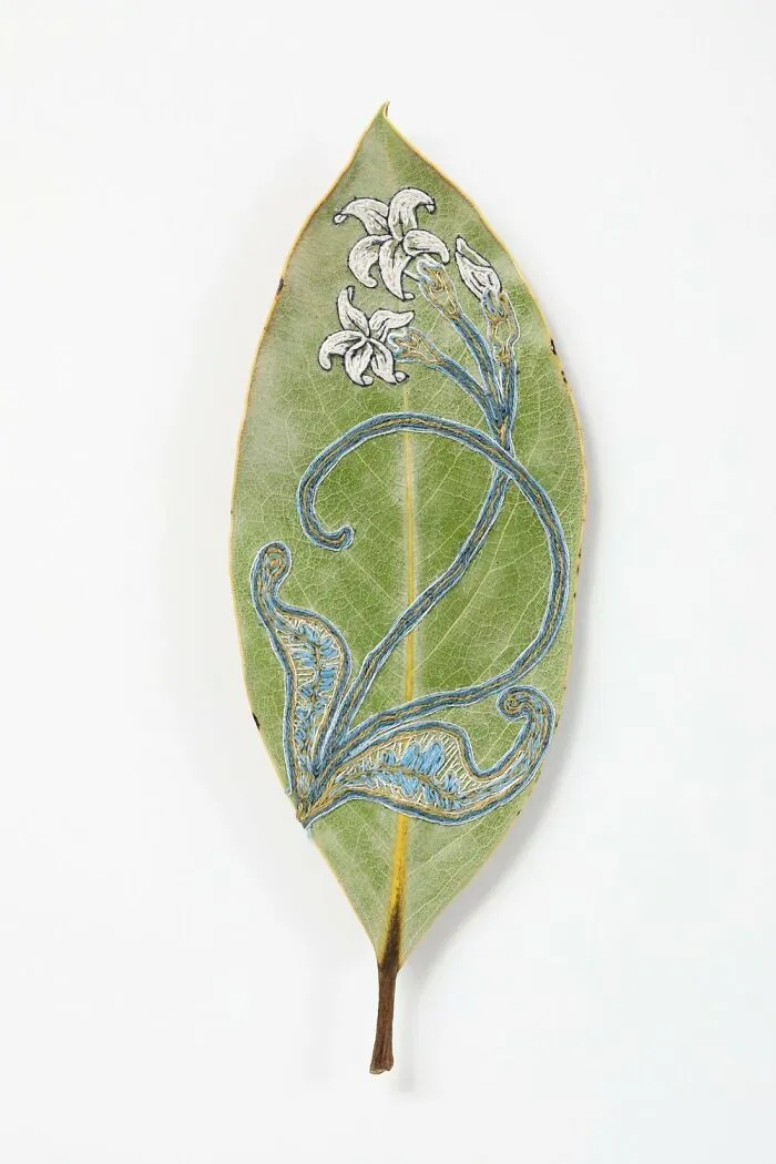 Stitched Botanicals