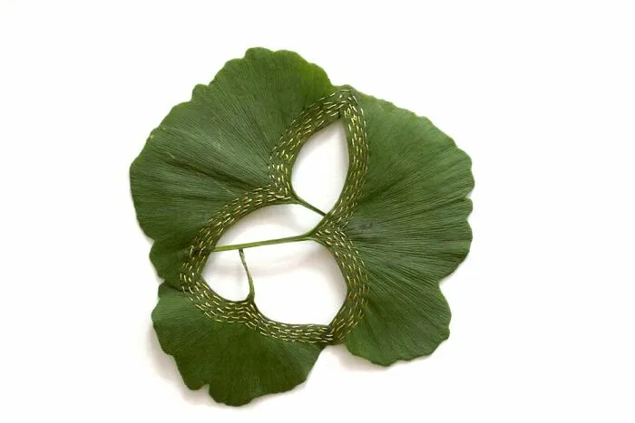 Stitched Botanicals