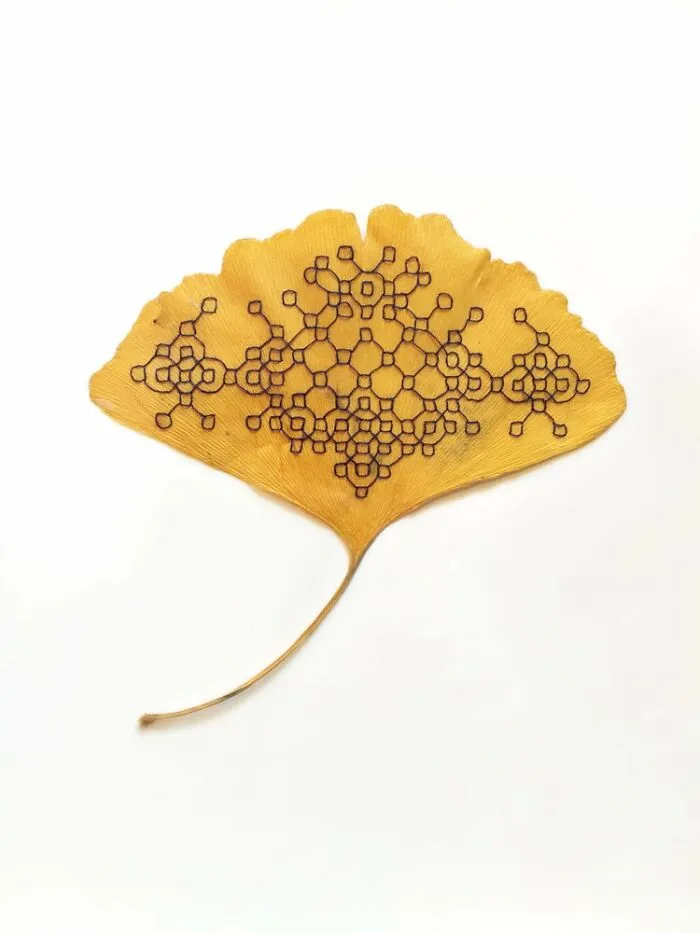 Stitched Botanicals
