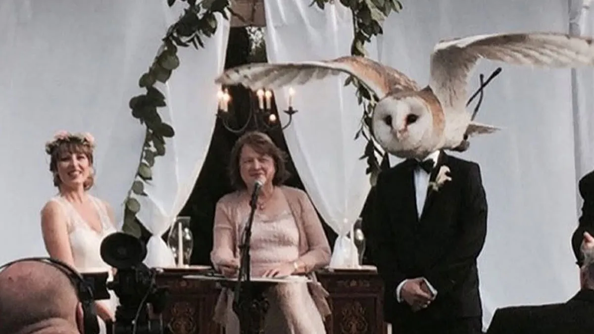 75 Times Weddings Went So Very Wrong, People Just Had To Vent Online