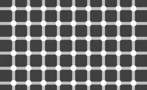 Neuroscience Unplugged: The Ultimate Roundup Of Brain-Bending Optical Illusions