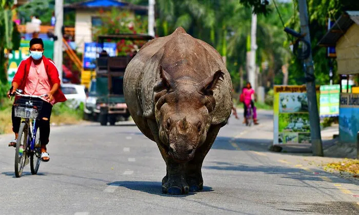 Nepal