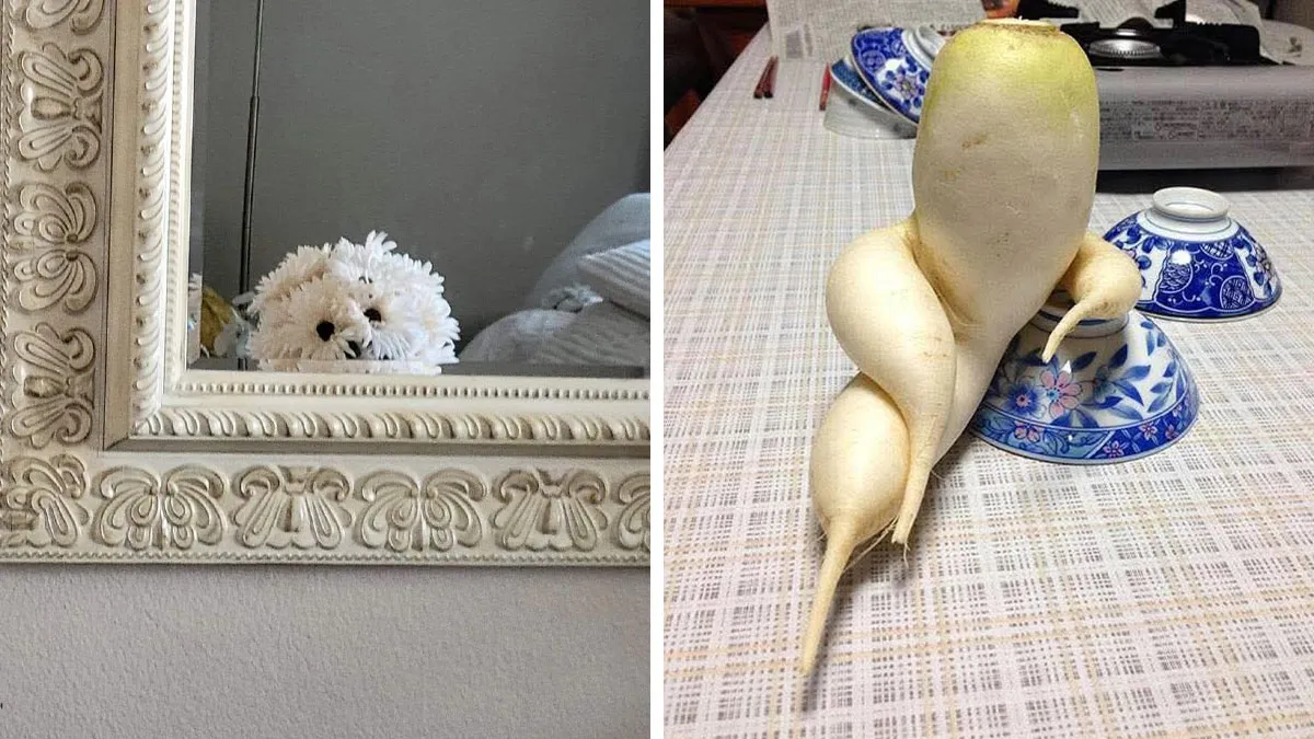 This Page Shared 60 Strange Moments When People Saw Faces In Everyday Things (New Pics)