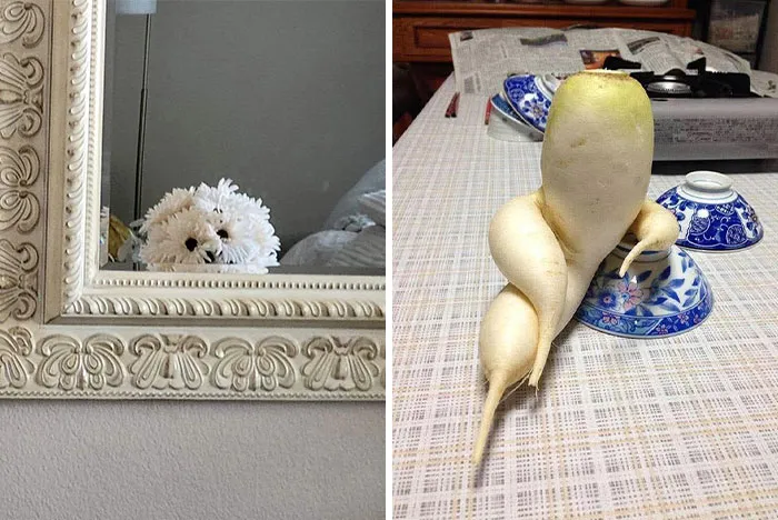 This Page Shared 60 Strange Moments When People Saw Faces In Everyday Things (New Pics)