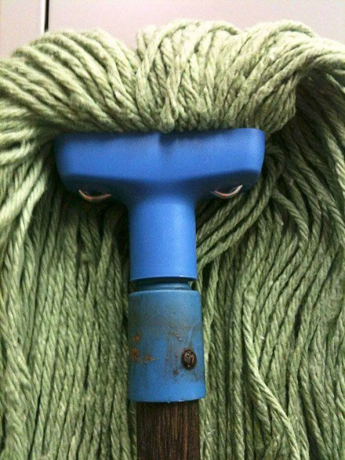 Mop head with green strands and a blue handle resembling a face, an example of pareidolia captured in a photo.