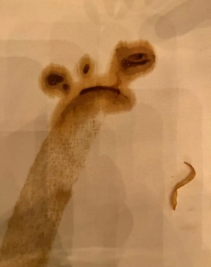 Brown stain on fabric resembling a giraffe, an example of pareidolia that makes people see familiar shapes in random patterns.