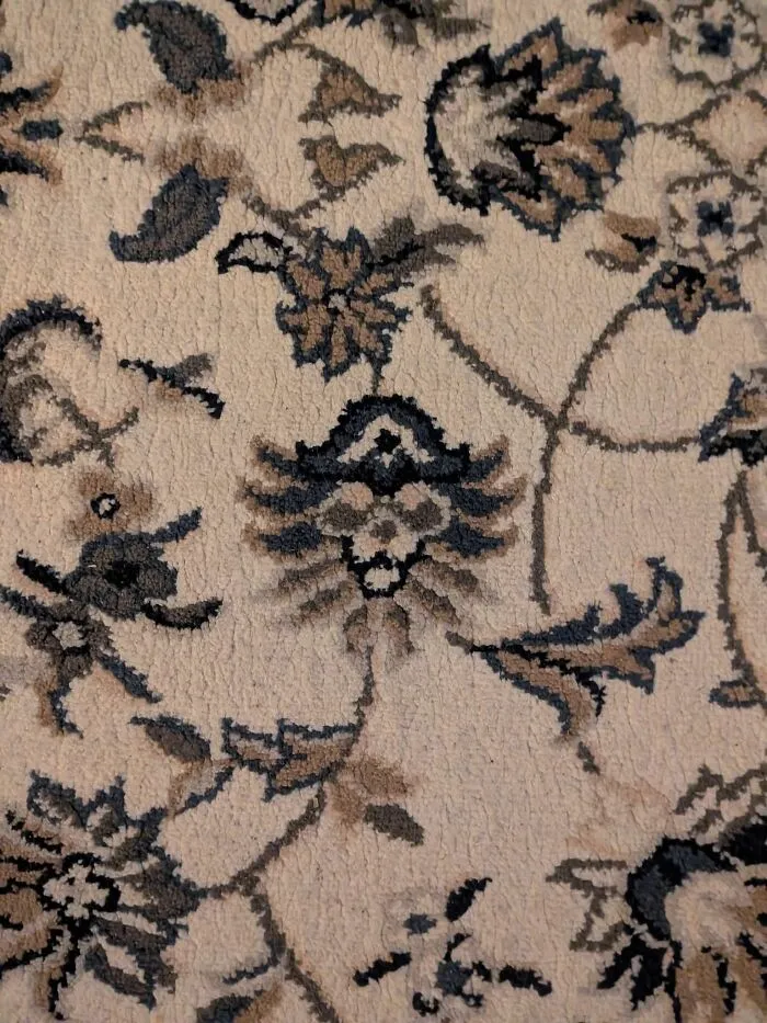 A Carpet At Home Has A... Pirate Lion?