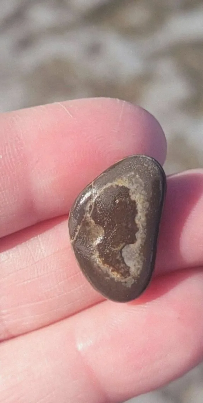 Found At The Beach Today. Like An Old Fashioned Cameo
