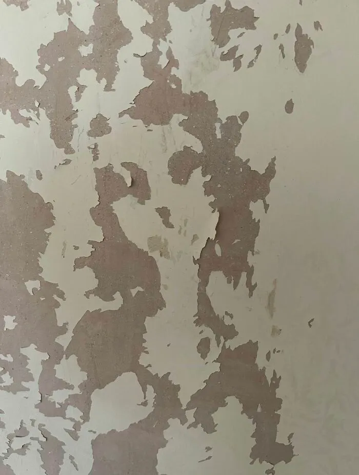 Peeling wall paint resembling shapes and figures, showcasing a striking example of pareidolia in everyday surroundings.