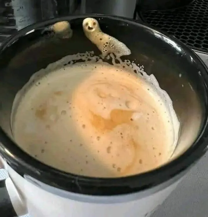 Foam Owl