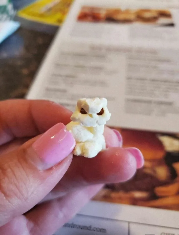 I Found An Owl In My Popcorn!