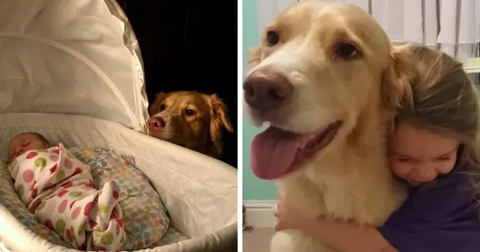 60 Pics Of Pets Growing Up With Their Humans That Might Just Make Your Day (New Pics)