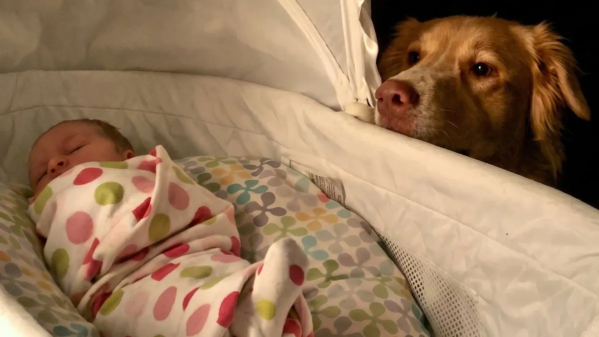 60 Pics Of Pets Growing Up With Their Humans That Might Just Make Your Day (New Pics)