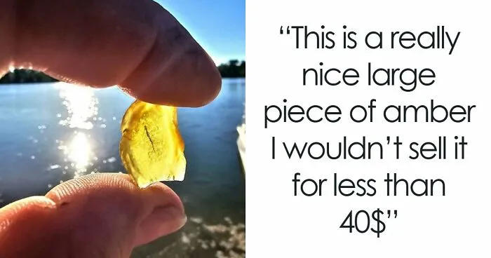 85 Interesting Cases Of People Asking The Internet “What’s This Worth?” And Getting A Straight Answer