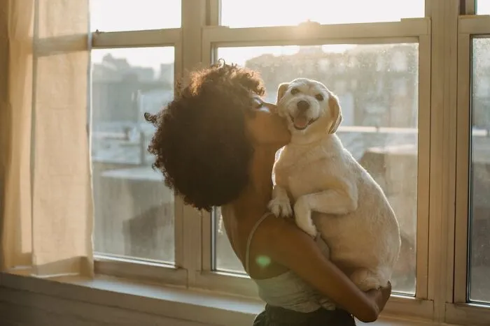 “TikTok Caused My Split”: 79 People Share Why Their Marriages Actually Ended