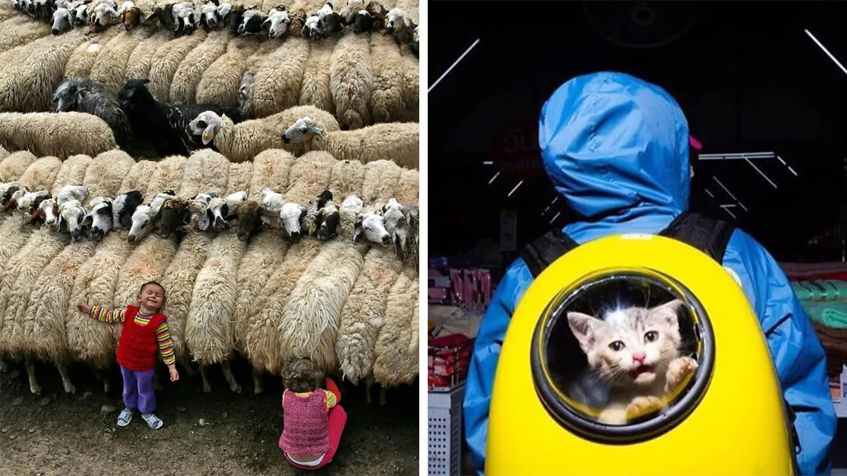 This Page Shares The Most Fascinating Photos, And Here Are The 33 Newest Ones
