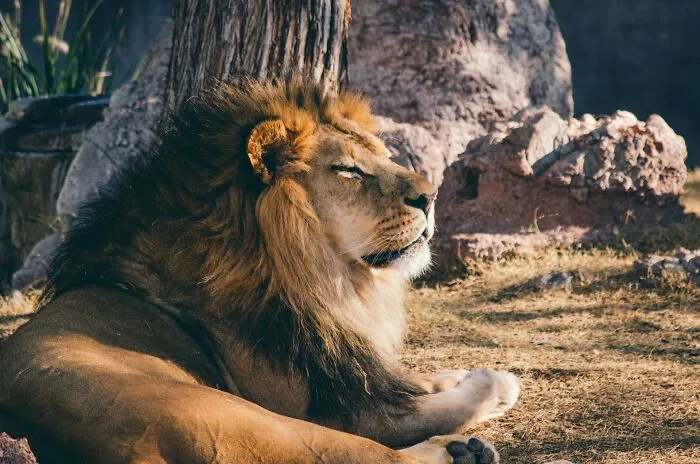 51 Of The Most Ridiculous Ways Fragile Masculinity Manifested In Men