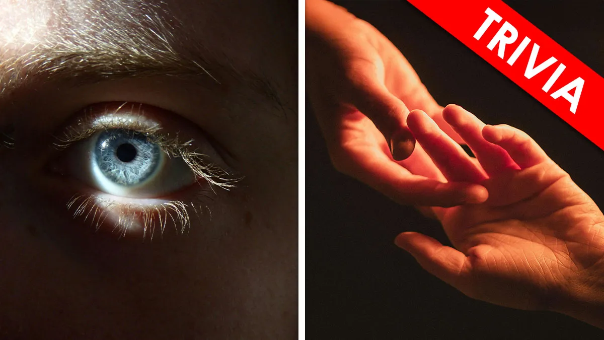 “What’s Your Lesser Evil?”: 20 Tough Choices People Can’t Agree On