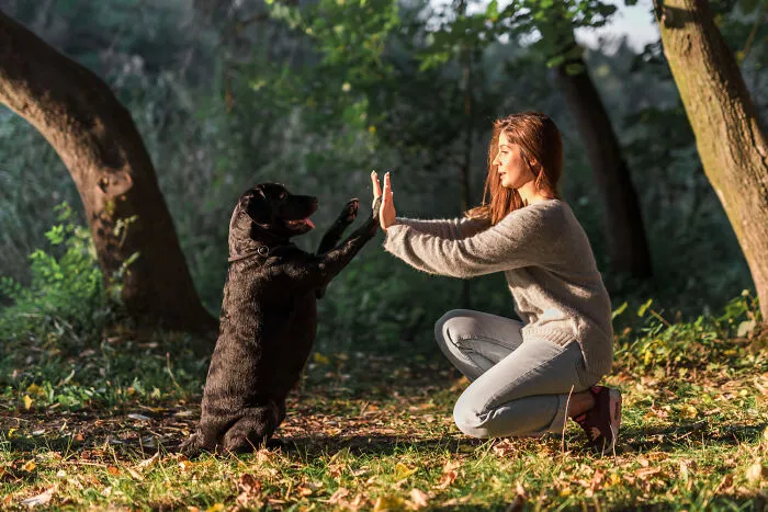 45 People Expected Insight From Psychics But Ended Up With Truly Disturbing Readings