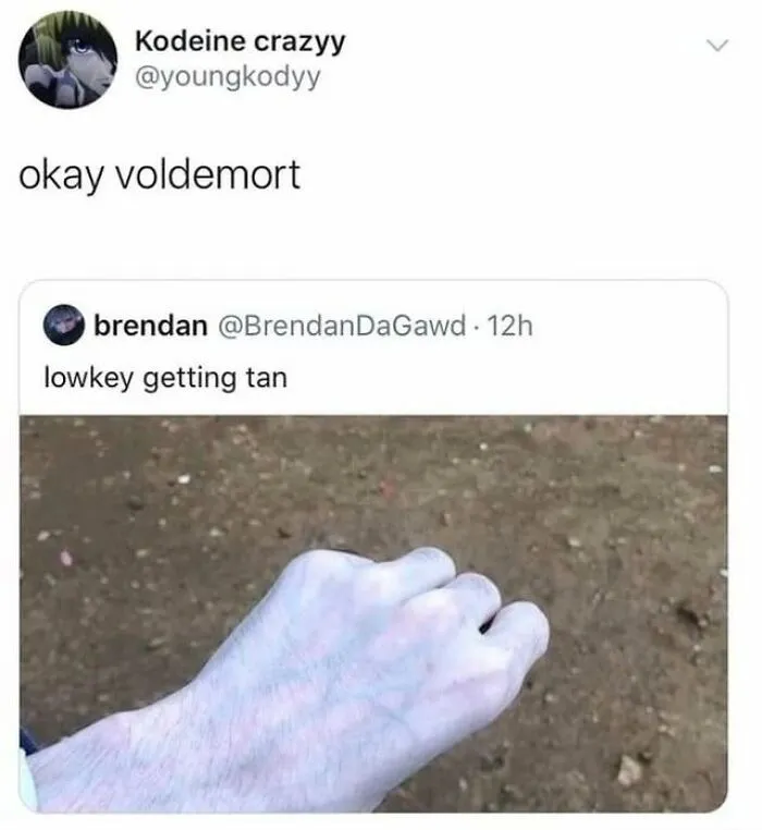 A pale hand described as getting tan, with a comment saying okay voldemort, a rare burn that hits hard.
