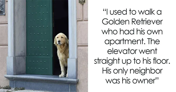 85 Rich People’s Employees Share The Most Absurdly Expensive Luxuries They’ve Encountered