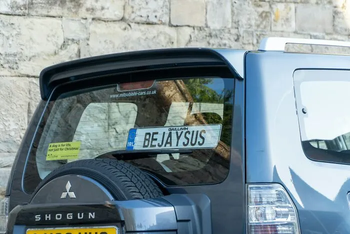 33 Times People Observed Strange Displays Of Intelligence That Totally Caught Them Off Guard