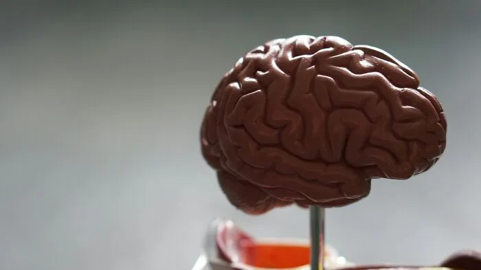 Doctors And Medical Experts Reveal The Most Terrifying Illnesses They've Ever Encountered (20 Answers)