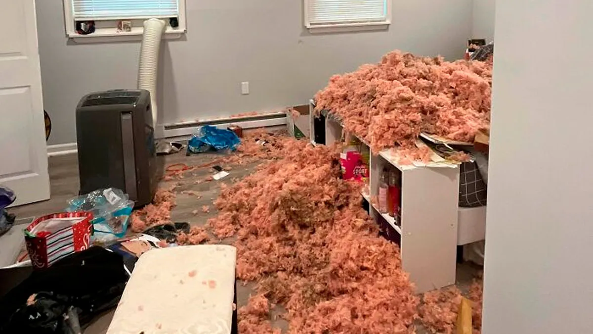 35 Times People Bought Homes And Noticed They Were Tricked Way Too Late
