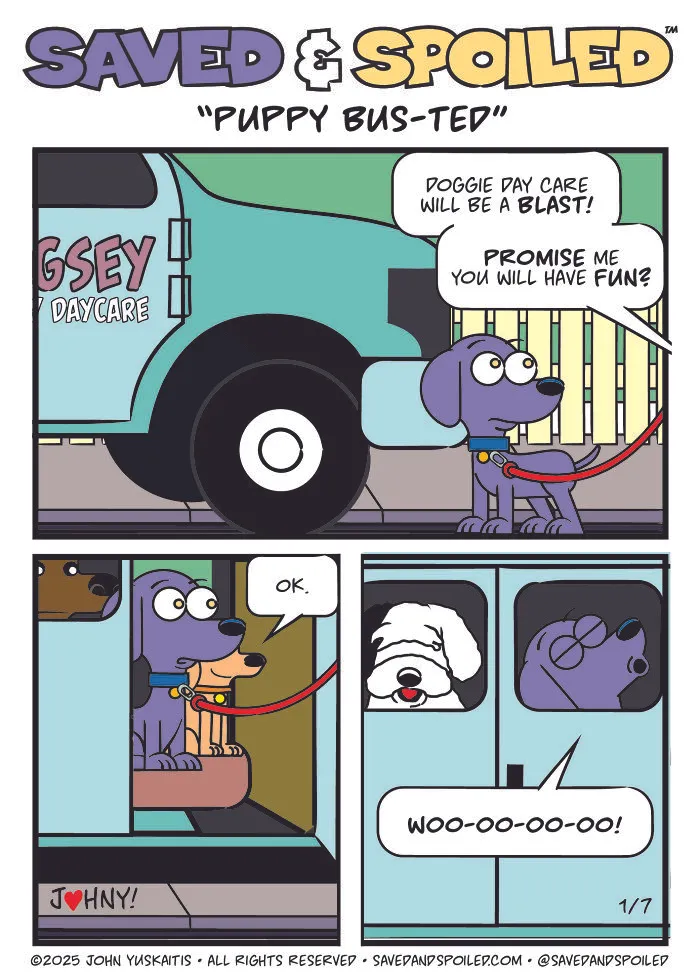 30 More Saved & Spoiled Comics About Life With A Rescue Dog And A Very Spoiled Cat