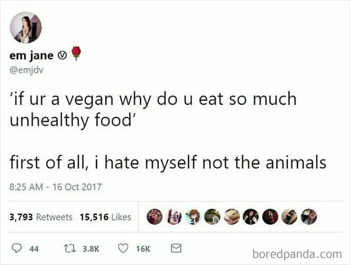 69 Vegan Memes That Never Get Old 