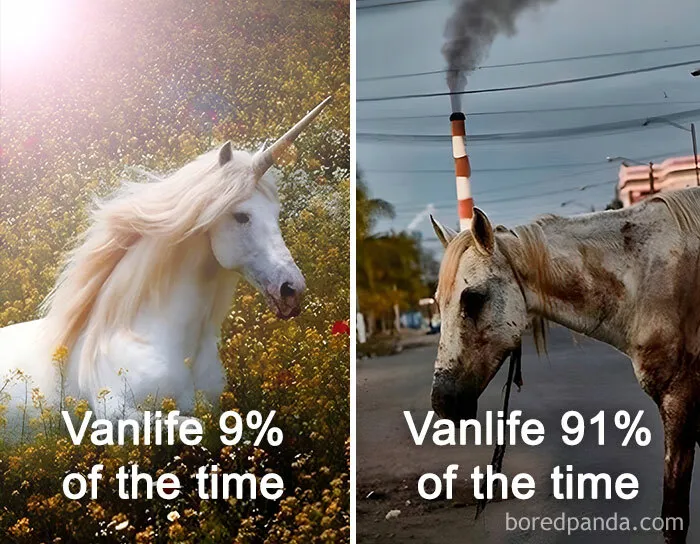 “Sparkling Homelessness”: 69 Memes That Perfectly Nail The Reality Of Living Out Of A Van