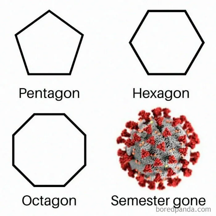 83 Math Memes For People Who Are Good With Numbers