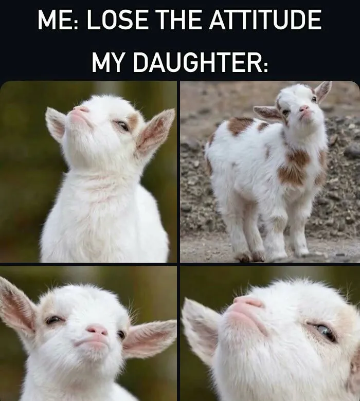 63 Hysterical Mom Memes That Show Why Moms Deserve Medals And Mandatory Naps