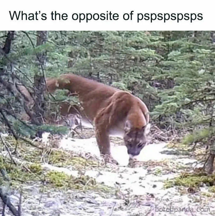 111 Funny Memes To Enjoy When You’re Bored, Tired, Or Just Need A Laugh