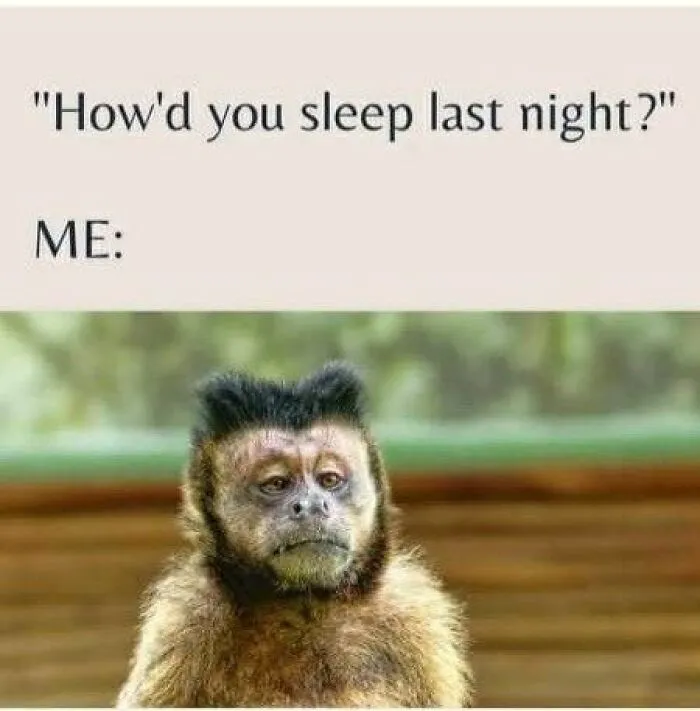 Tired monkey meme replying how'd you sleep last night from random memes