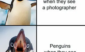 If Nothing Brings You Joy Anymore, Try These 75 Funny And Wholesome Animal Memes