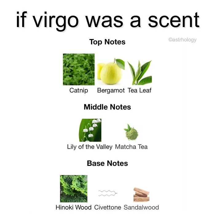 115 Of The Funniest Astrology Memes To Leave You Searching Up Your Birth Chart