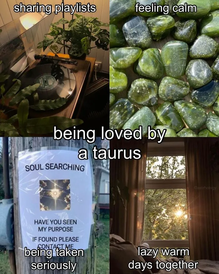 115 Of The Funniest Astrology Memes To Leave You Searching Up Your Birth Chart