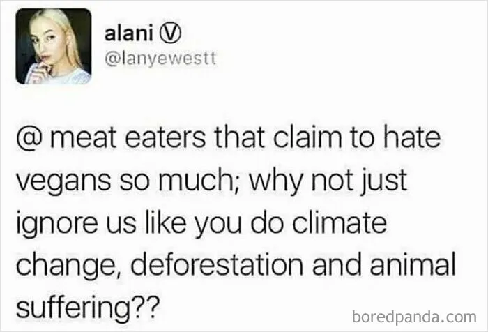 69 Vegan Memes That Never Get Old 