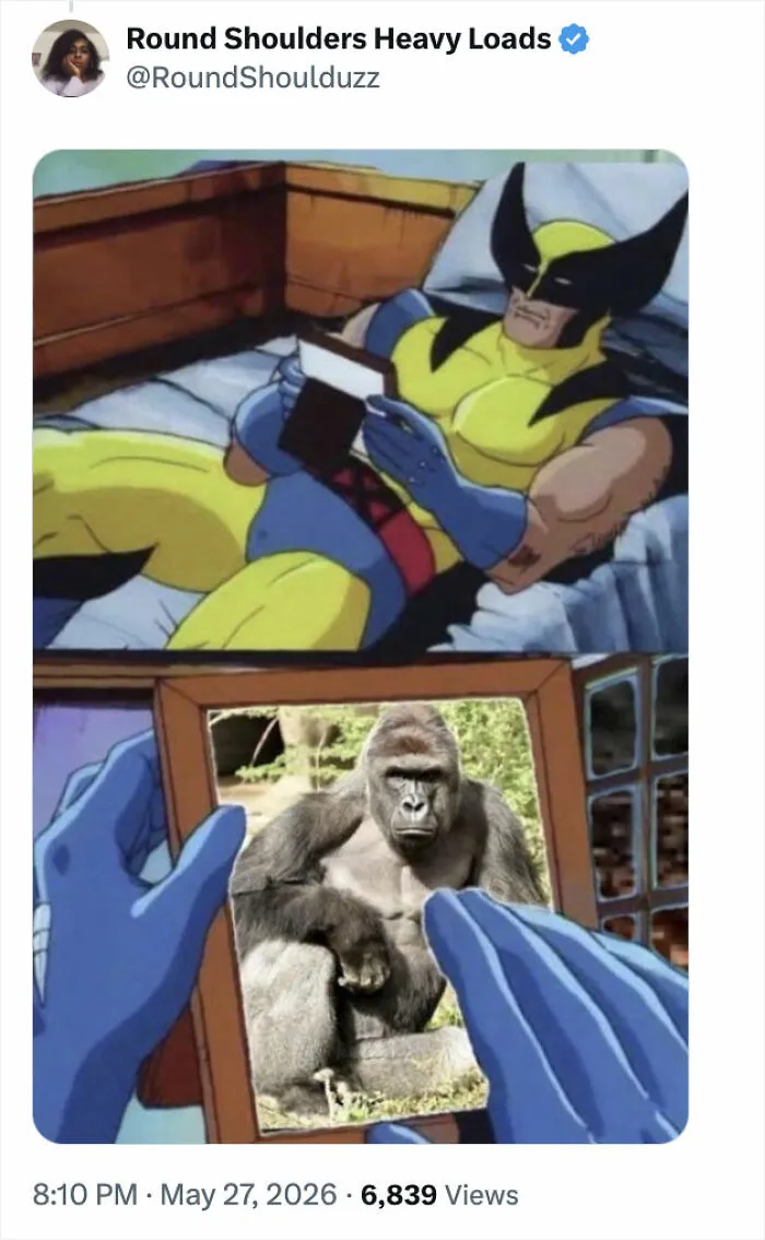 "His Legacy Still Lives On": The White House Leads Reactions As The 10th Anniversary Of Harambe's Passing Has Everyone Feeling Nostalgic