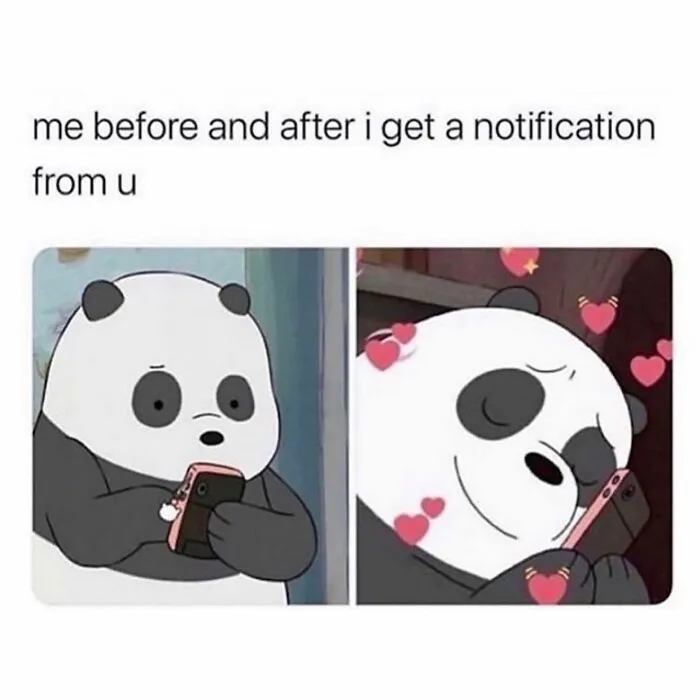 Panda character happy before and after notification from partner couple meme