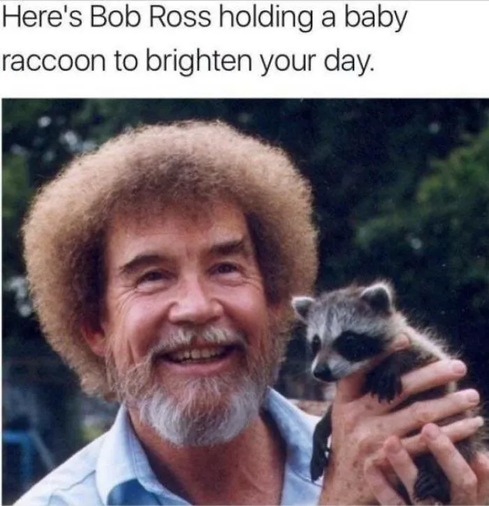 Bob Ross with his iconic afro and beard, smiling while holding a baby raccoon, a truly positive post.