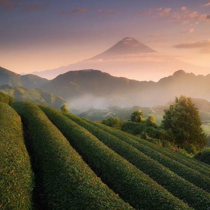 42 Dreamlike Photos Of Japan That Show Its Shrines, Mountains, And Changing Seasons