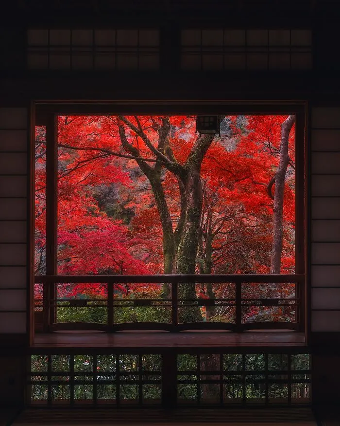 42 Dreamlike Photos Of Japan That Show Its Shrines, Mountains, And Changing Seasons