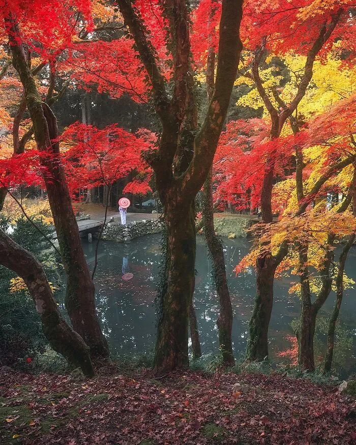 42 Dreamlike Photos Of Japan That Show Its Shrines, Mountains, And Changing Seasons