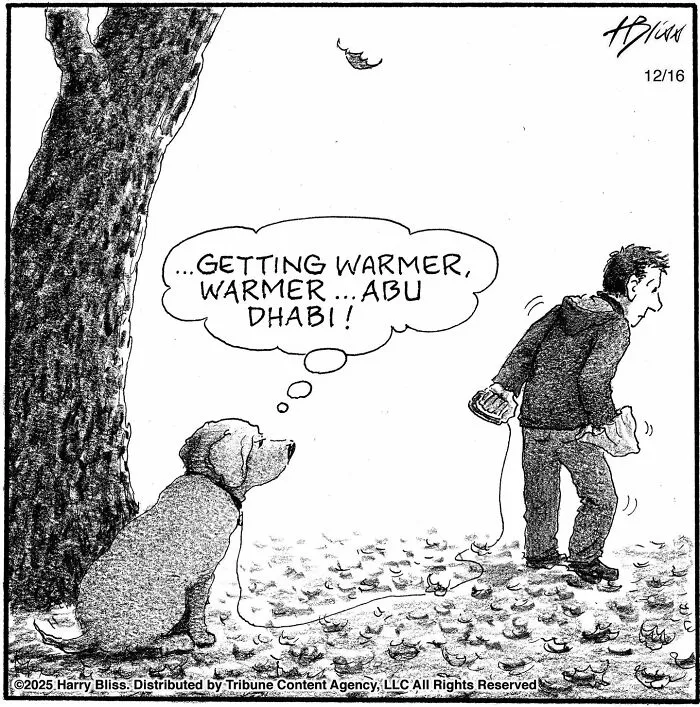 A dog thinks Getting warmer...Abu Dhabi! while a man searches on the ground in a humorous one-panel dog comic.