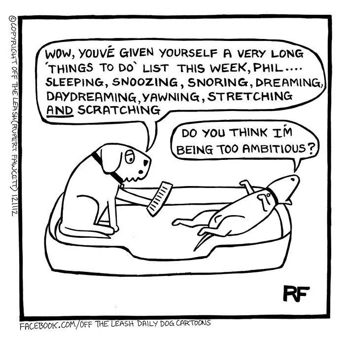 A comic depicting a dog's very long things to do list, capturing living with dogs by Rupert Fawcett.