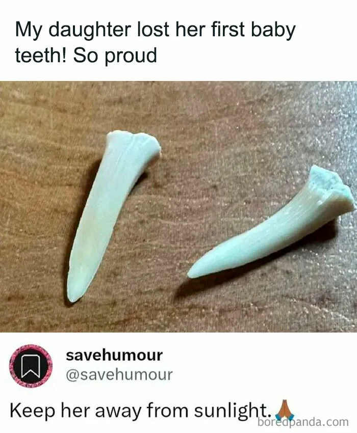 “Memes Worth Saving”: 65 Posts To Keep You Entertained When Nothing Brings You Joy Anymore